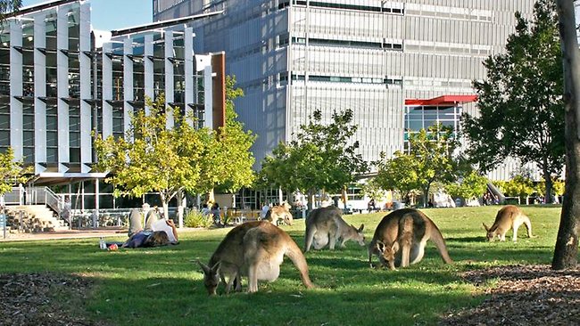 930812-10-greenest-universities